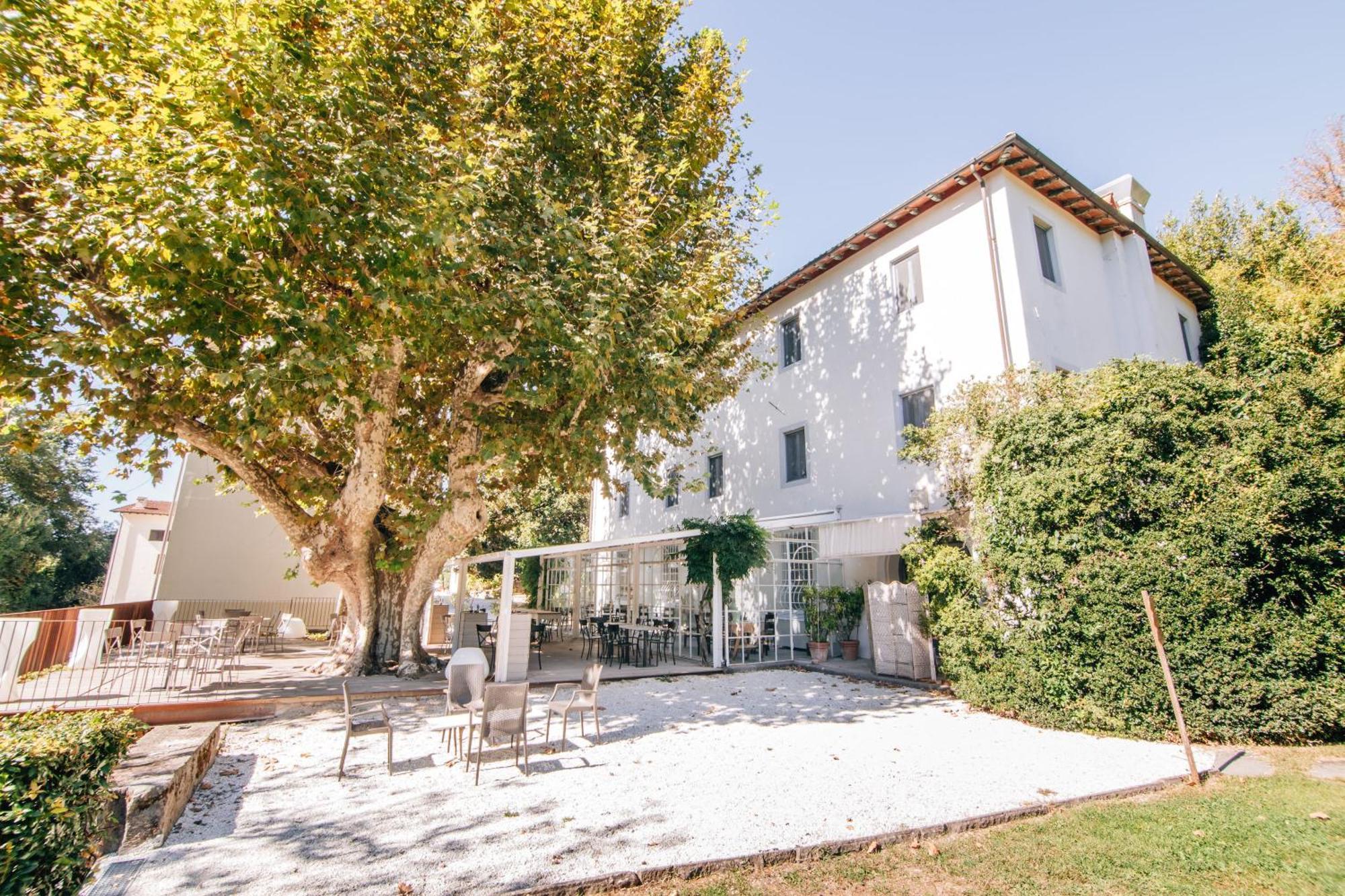 Villa La Bianca Camaiore Buitenkant foto